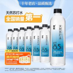 依能 天然苏打水 无糖无汽弱碱性 500ml*24瓶