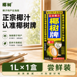 椰树 椰汁 1L