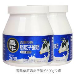 香飘草原 内蒙古奶皮子酸奶老酸奶原味浓稠罐装整箱早餐酸牛奶500g