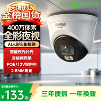 天地伟业Tiandy监控摄像头 400万超清PoE网线供电半球监控器 人车检测全彩夜视农村店铺商用 TD-C25XN-2.8mm
