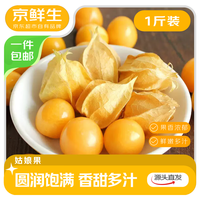 京鲜生 源头直发 姑娘果 姑娘果1斤