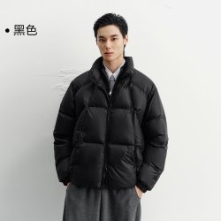太平鸟 男装羽绒服26冬季新款立领肌理保暖宽松面包服防寒加绒里布