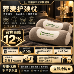 勋阳宇乐 护颈椎枕助睡眠荞麦枕头一对
