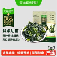 移动端、88VIP：赶海弟 盐渍裙带菜叶 250g