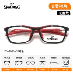 斯伯丁 YD-164928 通用款护目镜