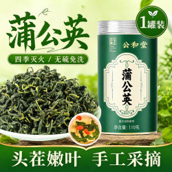 SUN CLARA 蒲公英茶正宗中药材新鲜散茶干草不特级野生浦公英叶根婆婆丁泡水