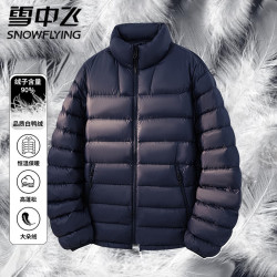 雪中飞 羽绒服男冬季立领纯色简约休闲加厚保暖外套 藏蓝色 L
