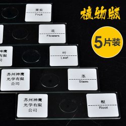 萨伽 标本5+5 显微镜标本载玻片套装（植物标本5片）