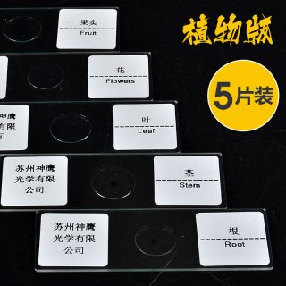 萨伽 标本5+5 显微镜标本载玻片套装（植物标本5片）