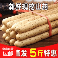 河北正宗铁棍山药小白嘴山药新鲜现挖麻山药宝宝辅食软糯香甜 小白嘴山药5斤40cm-60cm