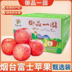 御品一园 山东烟台红富士苹果新鲜水果整箱净重4.5斤75mm以上