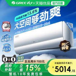 格力 新一级能效小2匹变频冷暖空调大挂机AI节能王子