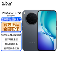 vivo Y600Pro 10200mAh蓝海电池 皓月黑 12GB+256GB 5G手机
