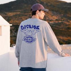 Dickies 爆款长袖T恤男宽松休闲时尚圆领印花潮流百搭上衣