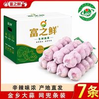 金乡净蒜55-60mm新干蒜大蒜头紫白皮大蒜5-7条蒜网兜装