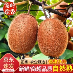 青牛 陕西猕猴桃 15枚 单枚60-80g 两斤9.06 合一斤4.53