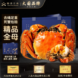 圣堂名钳 大闸蟹 全母2.7-3.0两 8只 礼盒装