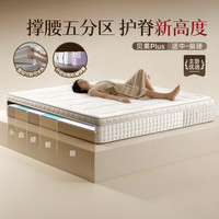 简息 床垫撑腰五分区贝果plus0胶水护脊全拆洗弹簧床垫子 免费升级质保 1.8*2.0m