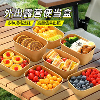 Jidaocook 一次性餐盒食品级 特厚(750ml)野餐盒-20只装 PP耐高温平盖