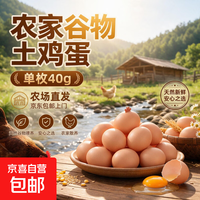 京东 山林正宗谷物喂养鲜鸡蛋新鲜土鸡蛋现捡京东上门生鲜买菜单枚40g 山林自养土鸡蛋10枚