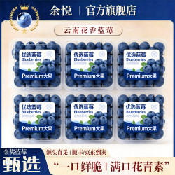 余悦 云南蓝莓 4盒【单果15mm+】125g/盒(净100g)