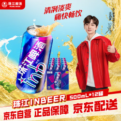 珠江啤酒 inb啤酒 500ml*12罐