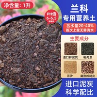MESHPOT 美莳 蝴蝶兰专用花盆 1升 树脂 透明