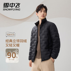 雪中飞 男士立领轻薄羽绒服 黑色 L