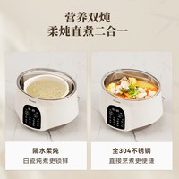 天际 陶瓷炖盅隔水炖家用电炖锅全自动煲汤炖汤锅电蒸锅蒸笼辅食锅
