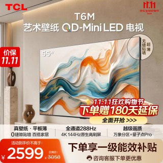 TCL T6M系列 55T6M 液晶电视 55英寸 普通挂架