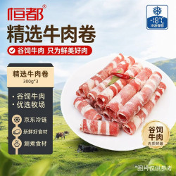恒都 国产谷饲调理精选牛肉卷 300g*3