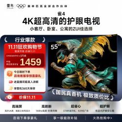 TCL 雷鸟电视 55雀4 55英寸 144Hz高刷 32G大内存  平板电视机55F270C-A