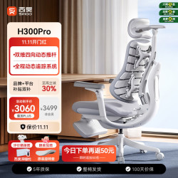 西昊 H300Pro 人体工学椅 云影白
