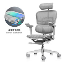 保友办公家具 保友 金豪E2 Pro 人体工学椅 银白美国网