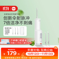 米家 F300 4档模式 烟纱白 240ml 冲牙器