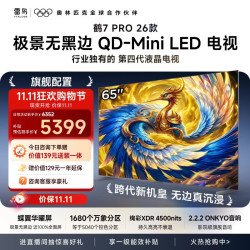 雷鸟 鹤7 Pro 26款 65R79A Pro 液晶电视 65英寸 伸缩挂架