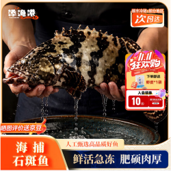 添渔港 老虎斑 冷冻大号整鱼 500-600g 1条装
