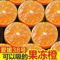赵小墩 正宗四川爱媛38号果冻橙眉山产地直发新鲜橙子应当季孕妇水果整箱