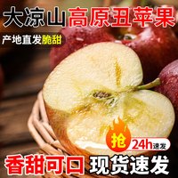 勿语 大凉山盐源冰糖心丑苹果 新鲜现摘高原孕妇水果