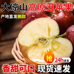 勿语 大凉山盐源冰糖心丑苹果 超大鲜果巨无霸 5斤装 单果245g+