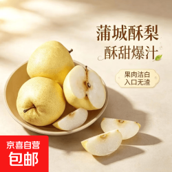 陕西黄土高原蒲城酥梨  蒲城酥梨 带箱约4斤（净重3.5斤）单果190g+