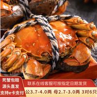 水淼鲜 洪湖大闸蟹 公3.7-4.0两母2.7-3.0两 3对6只装 礼盒