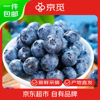 京觅 云南高山蓝莓特大果100g*12盒单果22mm+