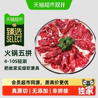 88VIP：澳贝美 猫超臻选潮汕火锅牛肉五拼套餐澳贝美肥牛肉片卷吊龙雪花肥拼嫩肉