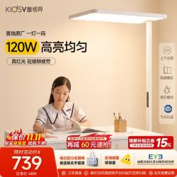 童视界 普瑞红光护眼大路灯 全光谱 120W 落地台灯