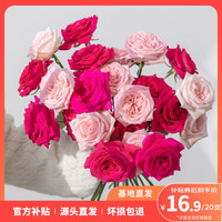 云选花礼 云南高原随机色玫瑰 20枝