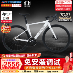 喜德盛 AD300 公路自行车