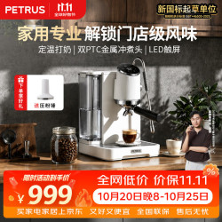 柏翠 半自动意式咖啡机 问月ProPE3811Pro单机