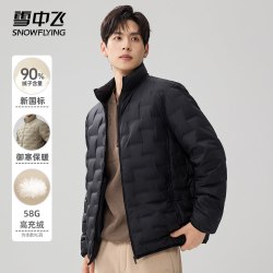 雪中飞 轻薄款羽绒服男士秋冬季立领短款轻便90绒内胆百搭保暖外套