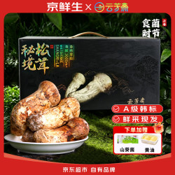 京鲜生 X云芳斋香格里拉新鲜松茸5-7cm净重2斤菌菇特产礼盒源头直发